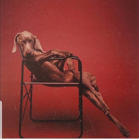 Meet your Posher, Ogechukwu - Picture 1 of 1